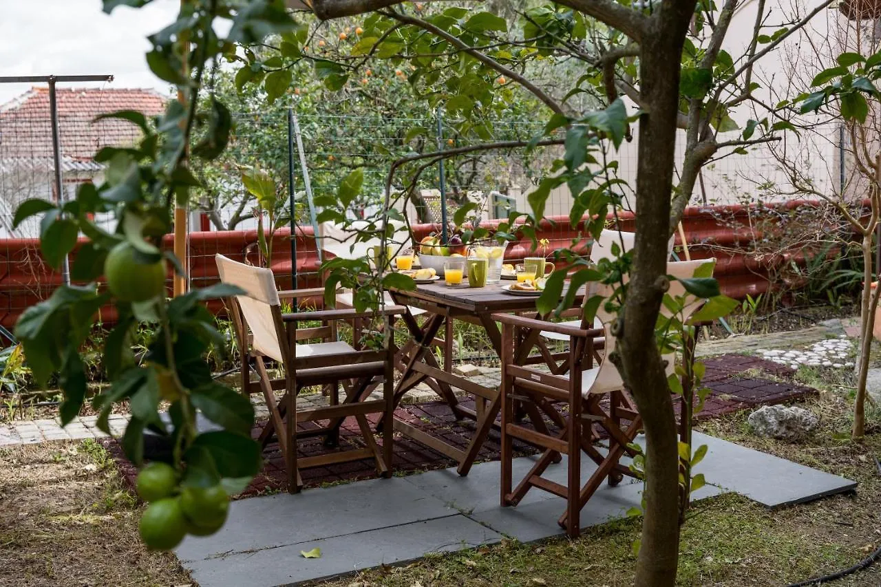 Sant'Agata Apartment Lixouri